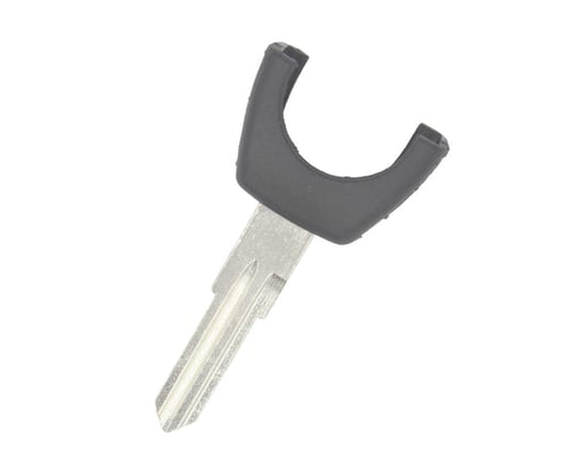 رئيس شيرى عن بعد