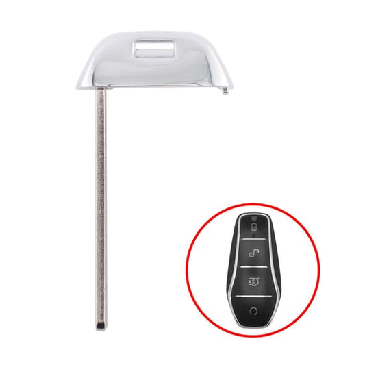 شفرة مفتاح ذكية لسيارة BYD 2024