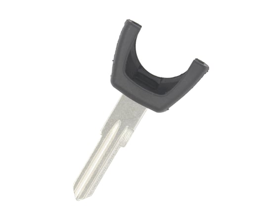 رئيس شيرى عن بعد